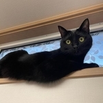 高いところにいると可愛さマシマシ