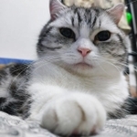 可愛すぎるクリームパン