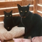 のんびり日向ぼっこを楽しむ