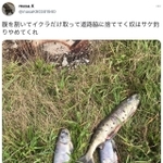 masa.Kさん（@masaK90381940）のツイッター投稿（一部、スクリーンショット）
