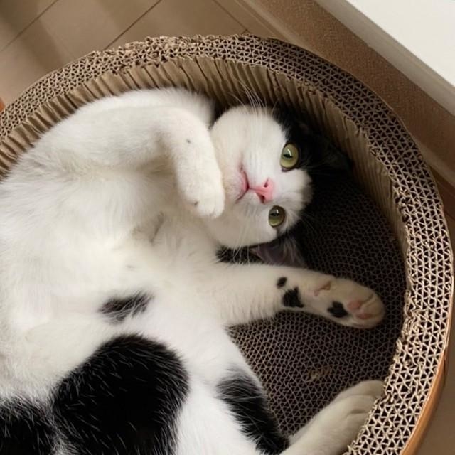 あざと可愛いゆきちゃん