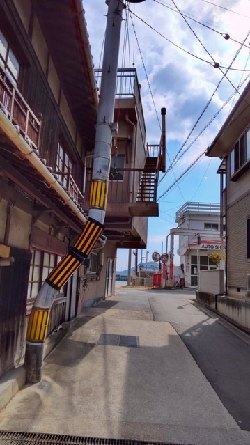 こんな電柱初めて見ました…（レッドさん提供）