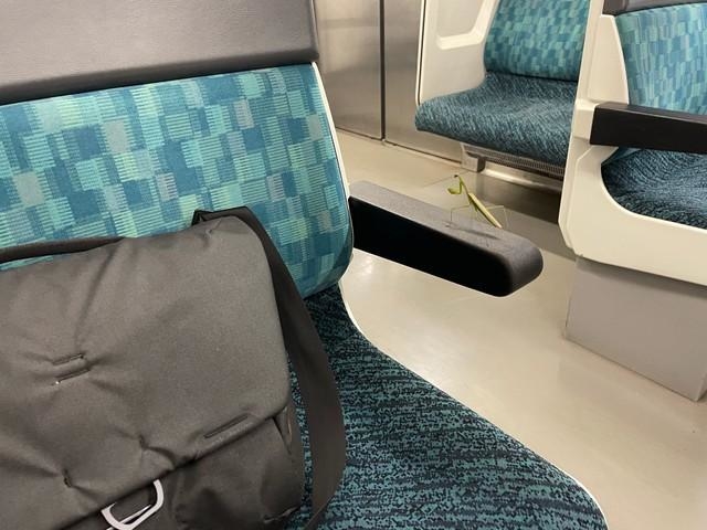 「こいつとずっと旅をしている」＝ANI3（@ANI3）さん提供