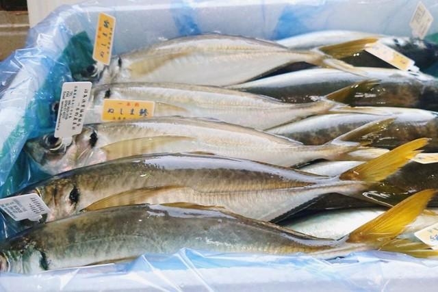 淡路島・沼島で獲れる「ぬしま鰺」