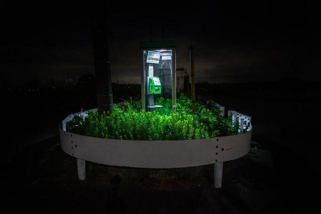 ガードレールに囲まれてひっそりと佇む異様な電話ボックス(えぬびいさん提供)