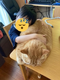 一家に一つ欲しくなる猫枕＝かぎしっぽすず&つむぎさん（@kagisuzu0531）提供