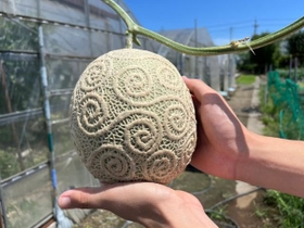 ワンピースに登場する悪魔の実「ゴムゴムの実」を模して作ったメロン。まさか高校生が作っていたなんて…（いずれも提供写真）