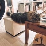 （飼い主提供）