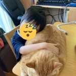 一家に一つ欲しくなる猫枕＝かぎしっぽすず&つむぎさん（@kagisuzu0531）提供