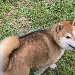 怒りんぼうだった元就が、長い年月をかけて幸せを掴みました