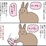 うさぎさんお迎えしてみようかな～と思った方に知っておいてほしいこと＝南兎（みなと）さん（@sud_lapin2987）提供