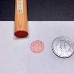 直径1.2cmに87文字！米粒写経みたい（提供）