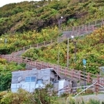 階段国道の全景（PHOTO ACより提供）