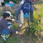 枝切りばさみでないと太刀打ちできない