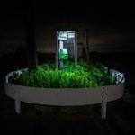 ガードレールに囲まれてひっそりと佇む異様な電話ボックス(えぬびいさん提供)