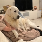 自分のこと小型犬だと思ってる？（提供写真）