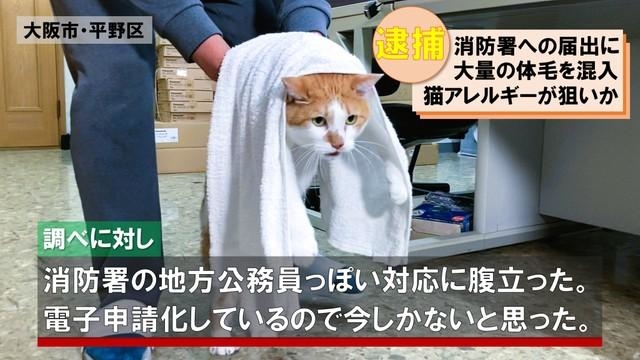 逮捕されちゃったニャ＝青木防災（株）【公式】（@aokibosai）提供