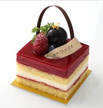 ベリーとレアチーズのガトー