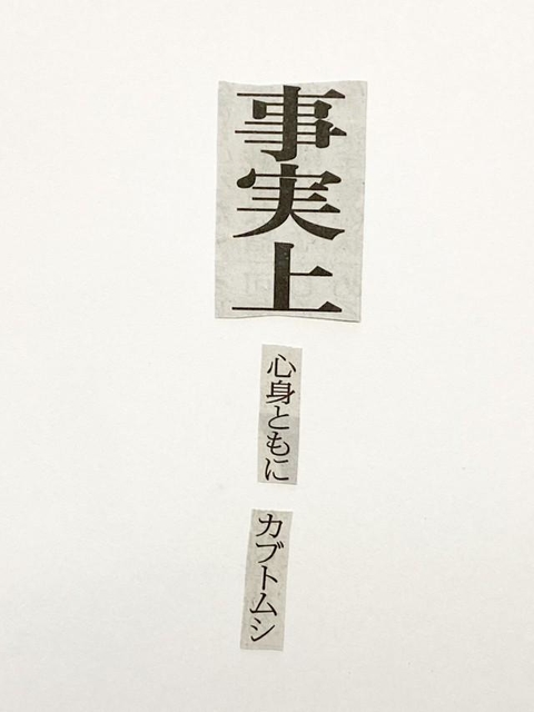 SNS上で大きな注目を集めるコラージュ川柳。なんともセンスにあふれた作品だ（淀川テクニックさん提供）