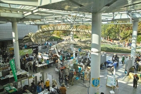 （認定NPO法人大阪自然史センター 提供）