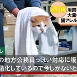 逮捕されちゃったニャ＝青木防災（株）【公式】（@aokibosai）提供