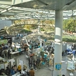 （認定NPO法人大阪自然史センター 提供）