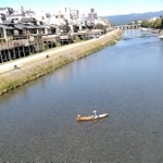 京都・四条大橋からふと鴨川をのぞき込むと…（正脇良平さん提供）
