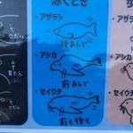 アザラシ、アシカ、セイウチの違い、分かるかな？（葛西伸哉さん提供）