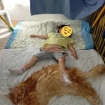 なっちゃん3歳とライちゃん＝やしゅうさん（@FakeYashu）提供