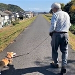10年ぶりに犬との散歩を楽しむおじいさんの動画が話題に（つみれさん提供、Twitterよりキャプチャ撮影）
