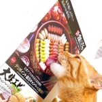 豪快！ポスターのお寿司をなめる茶トラ猫が話題に（提供写真）
