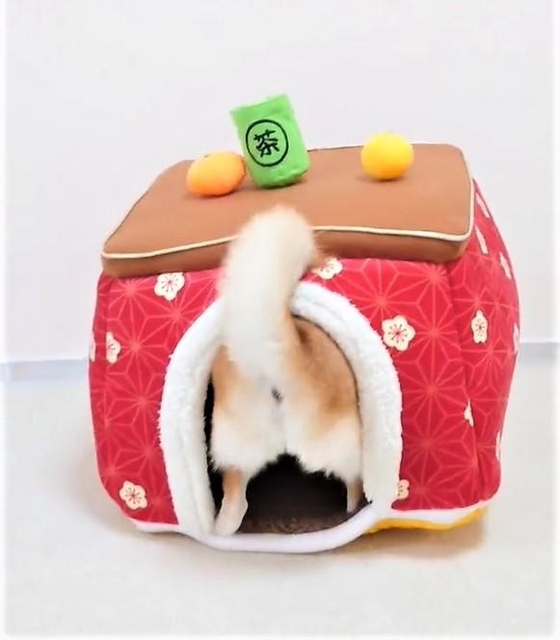 こたつみかん 綿入りはんてん フェルト 柴犬（こたつに乗ったが