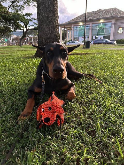 公園到着から30分…さすがに口からは離しました（提供）