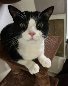 まん丸お目目だよ！