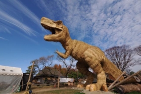 間近で見るとすごい迫力
