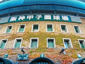 日本を代表する球場、阪神甲子園球場（Loco/stock.adobe.com）