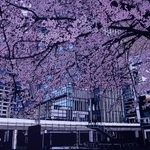 制作に4ヶ月かけたという作品。花の大きさや色を変えて奥行きを出しているという＝切り絵作家 斉藤洋樹 -Hiroki Saito-さん（@kiriehiro）提供