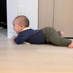 高速ずりばいを披露する赤ちゃんがTwitter上で話題（YuzzZさん提供、Twitterよりキャプチャ撮影）