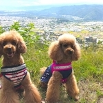 パートナーのレオくん（左）と一緒にすごすルルちゃん（右）