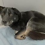 ガチガチに固まるオーウェン。しかし、慣れてくると本来の明るい性格をのぞかせるようになりました