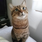 ママ起きたかな～？