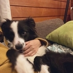 僕が癒してあげるよ、僕もあったかいな＝麻実さん（@mami_wmyco）提供