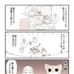 1Ｐ（ぬこー様ちゃん提供）