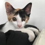 カメラを向けるとカメラ目線をしてくれる