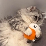 とっても大事なお友だちなんです･･･（「ぽてこゆこめ+うな」さん提供、Twitterよりキャプチャ撮影）