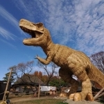 間近で見るとすごい迫力