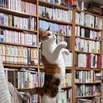 飼い主が今まで見たことのない！立ち姿の写真が話題（N. Sakataさん提供）