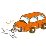 動物との交通事故に遭遇することも（eringo/stock.adobe.com）