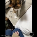 さあ！飛び乗るぞ！（AKRさん提供）