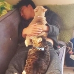 お互い幸せだにゃ＝nyaokoさん（@naokowatanabe5）提供